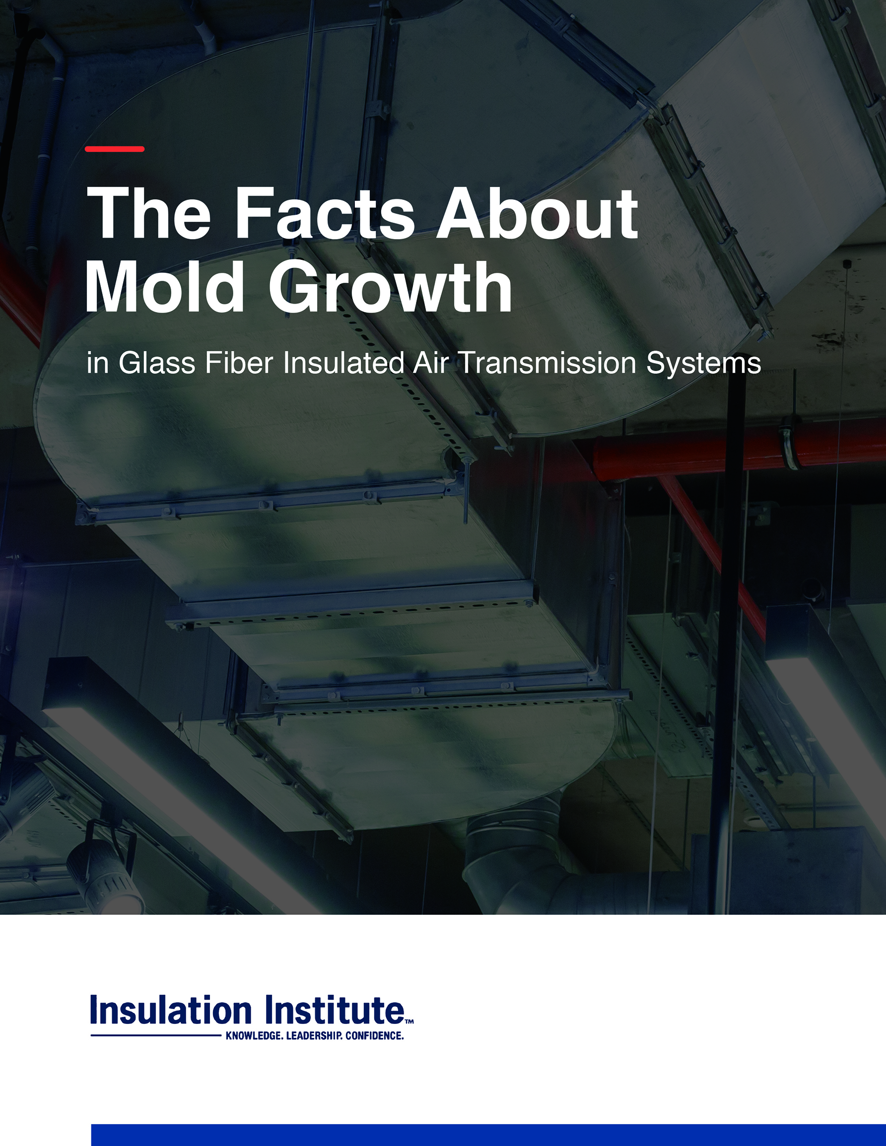 New Release: The Facts About Mold Growth